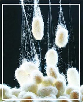 真絲圍巾的價(jià)格——真絲圍巾、真絲絲巾、圍巾定制 真絲圍巾的價(jià)格——真絲圍巾、真絲絲巾、圍巾定制