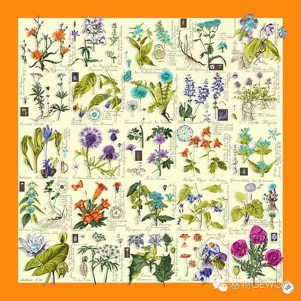 微信圖片_20171202171130 微信圖片_20171202171130