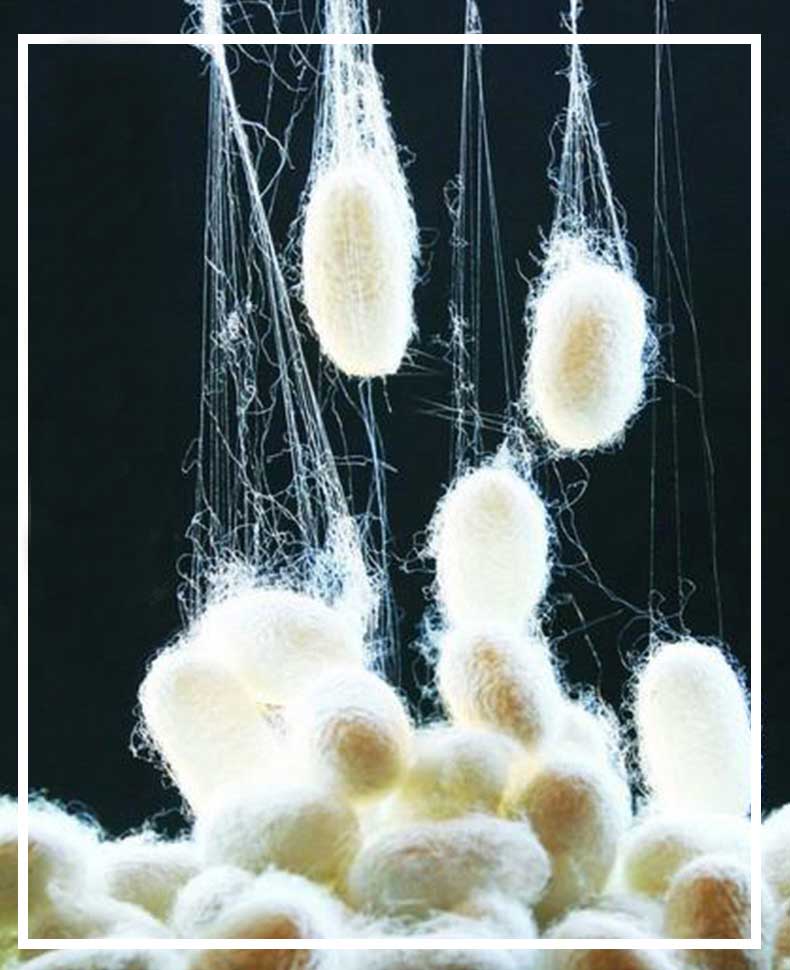 真絲圍巾的價格——真絲圍巾、真絲絲巾、圍巾定制